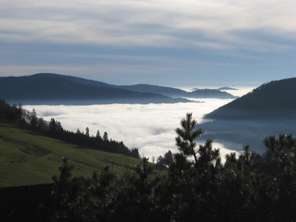 Schoene Aussicht Тодтнау Экстерьер фото