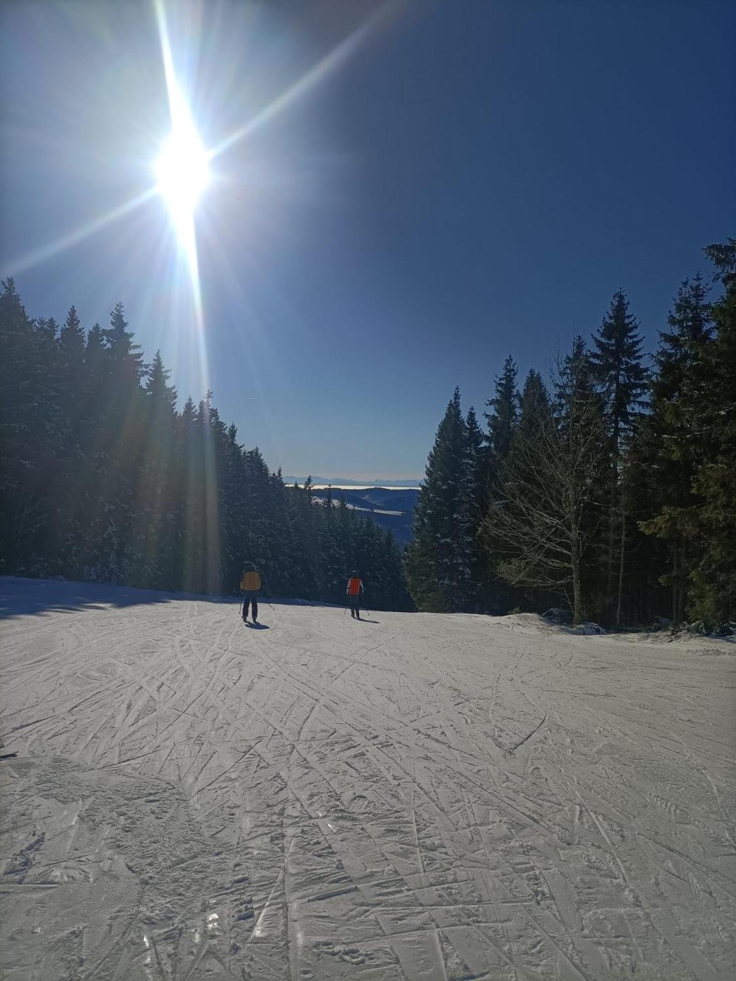 Schoene Aussicht Тодтнау Экстерьер фото